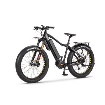 2019 New Design 8fun/Bafang 48V 750W E-Bike with Fat Tire